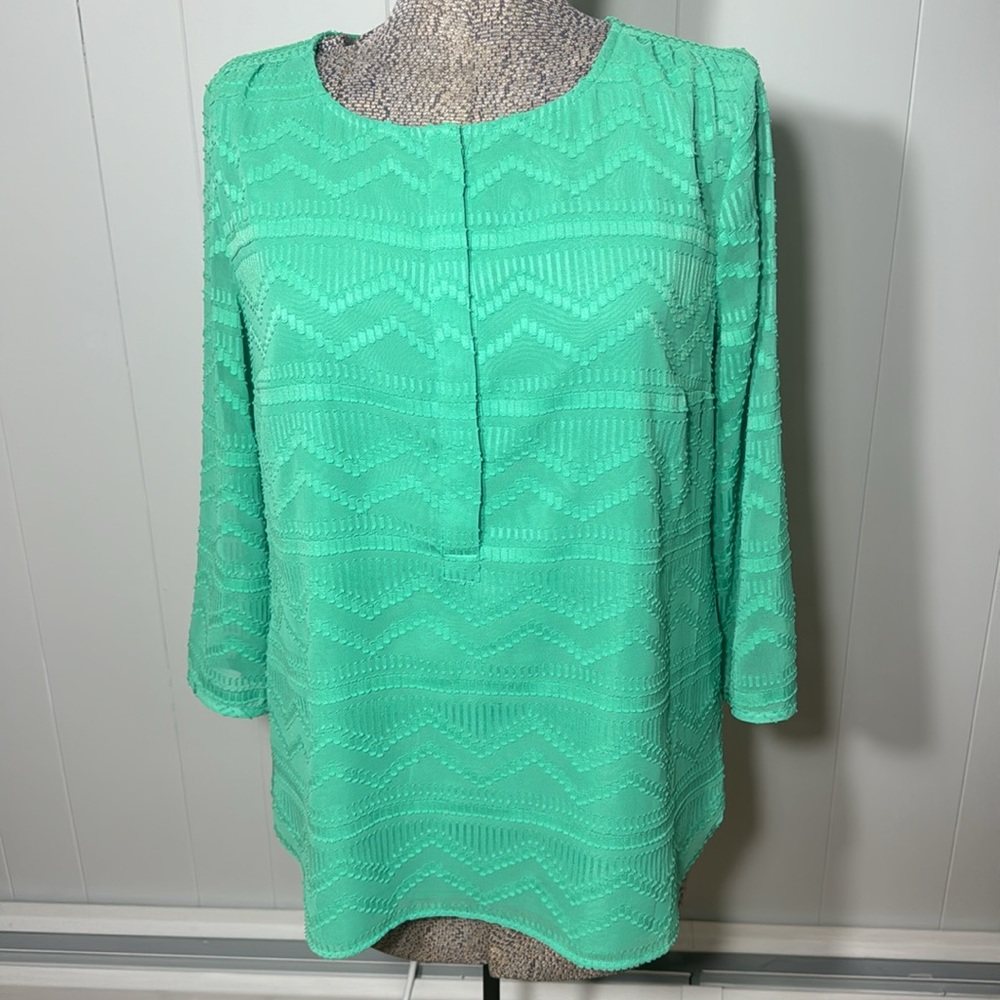 Talbots Womens Large Green Overlay Blouse with Lining Textured